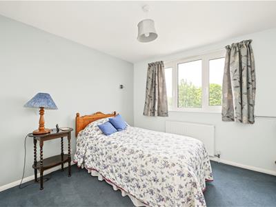 Picture 21